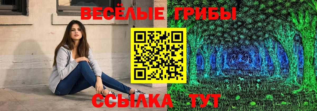 Галлюциногенные грибы MAGIC MUSHROOMS  Вход с VPN  Торжок 