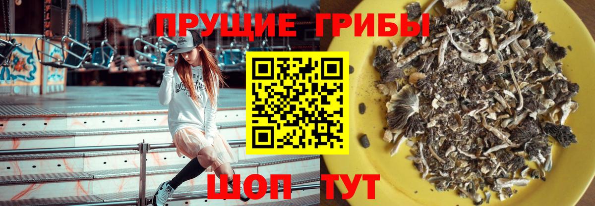 Псилоцибиновые грибы Magic Shrooms Торжок